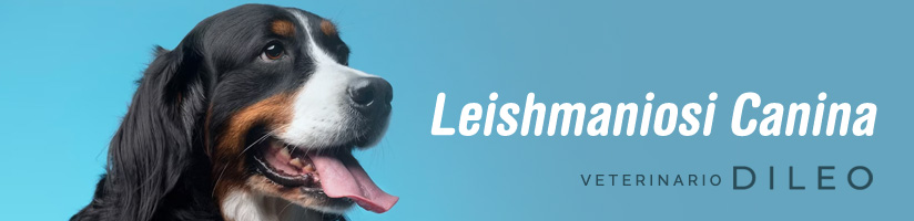 veterinario leishmaniosi cane torino