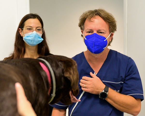 veterinario torino dileo