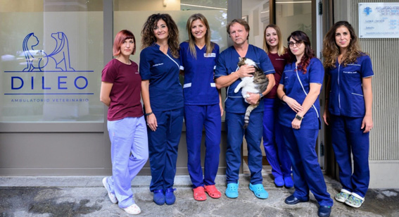 veterinario torino sergio dileo