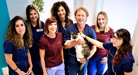 veterinario torino sergio dileo