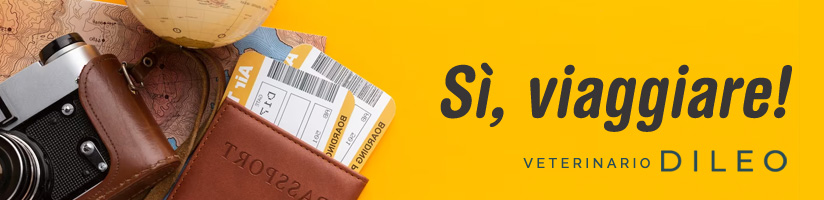 viaggiare con animali cosa fare